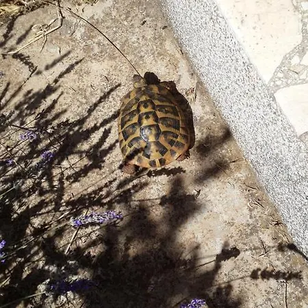 Zone Uskok Zadar